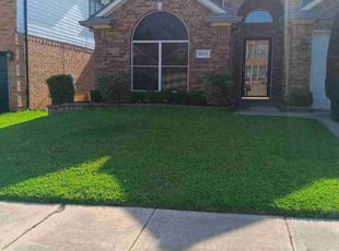 Steph L.'s turf care service result