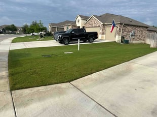 Michelle D.'s turf care service result