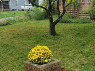 Gary T.'s Bush Trimming service result