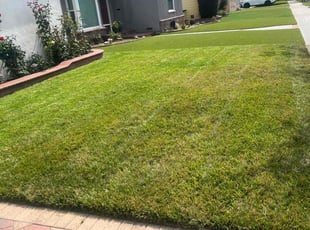 Linda F.'s grass maintenance service result