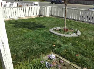 Gary W.'s lawn care service result