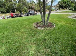Lori W.'s Cleanups service result