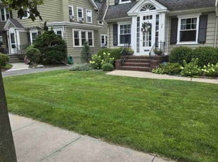 Dona J.'s Cleanups service result