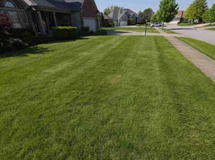 Richad F.'s turf care service result