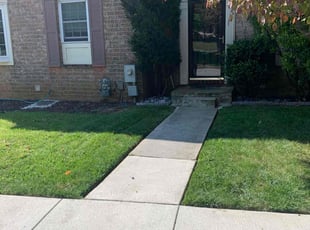Evan C.'s grass maintenance service result