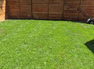 Peter S.'s lawn care services service result