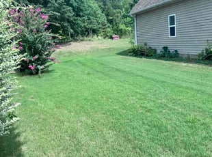Tiffini B.'s lawn care services service result