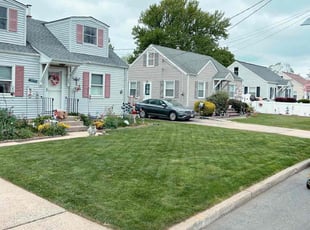 Catherine M.'s grass maintenance service result