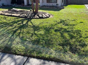 Frank C.'s lawn service service result