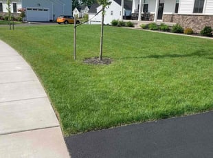 Sandra M.'s lawn maintenance service result