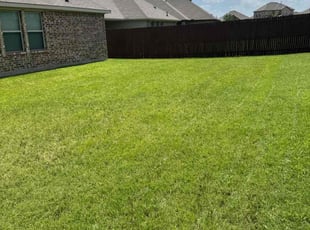 Micah W.'s turf care service result