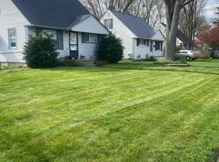 Kevin S.'s yard work service result