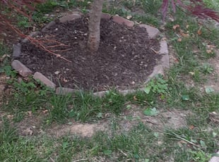 William W.'s Flower Bed Weeding service result