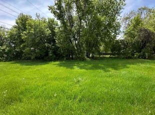 Ronnie S.'s turf care service result