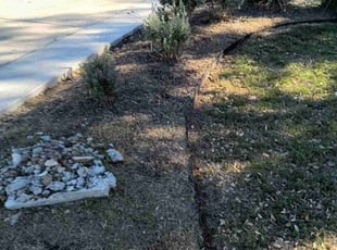 Henrique B.'s lawn service service result