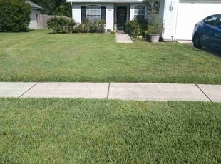 Laprincess T.'s lawn maintenance service result