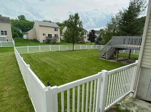 Kim M.'s grass maintenance service result