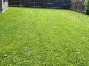 Mary S.'s grass cutting service result