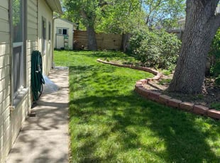 Dominic A.'s turf care service result