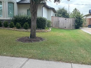 Anthea C.'s grass maintenance service result