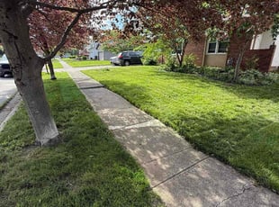 Ron C.'s lawn service service result