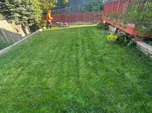 David S.'s lawn care services service result