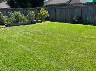 Jackie S.'s lawn care services service result