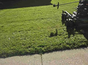 Keion H.'s turf care service result