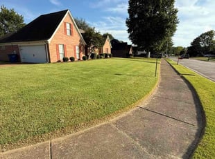 Craig W.'s turf care service result