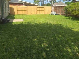 Jennifer D.'s lawn care service result