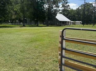 Frank K.'s lawn maintenance service result