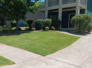 Gerry G.'s Bush Trimming service result