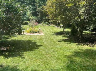 Lorna M.'s lawn care service result