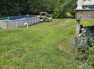 Sydney C.'s lawn care service result