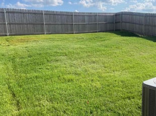 Denise M.'s Cleanups service result