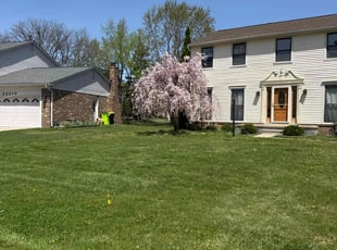 Caroline M.'s lawn care service result