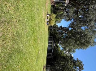 Ben A.'s lawn maintenance service result