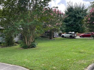 Timothy D.'s lawn care services service result
