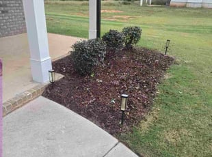 Anthony O.'s Bush Trimming service result