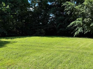 Velda C.'s grass cutting service result
