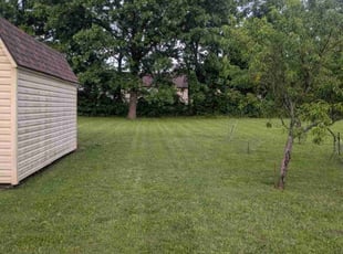 Uche O.'s grass cutting service result