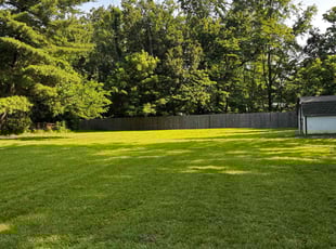 Sami C.'s yard maintenance service result