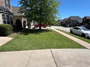 Christian A.'s lawn care services service result