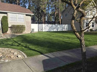 Stacey C.'s grass maintenance service result