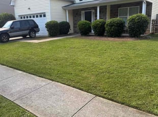 Eric R.'s lawn care service result