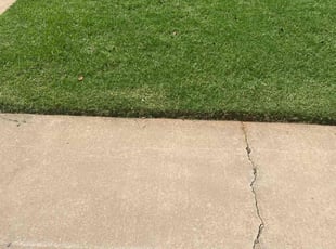 Victoria M.'s lawn service service result