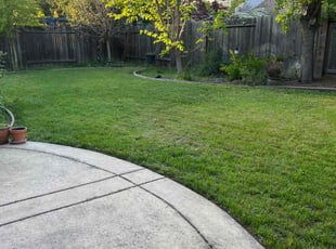 Katie P.'s lawn care services service result