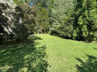 Patty E.'s lawn care service result