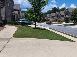 Deryk D.'s lawn service service result