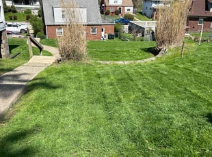LLOYD F.'s lawn care services service result